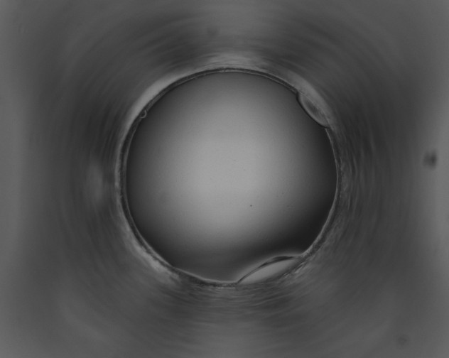 X0000089661339200707191640
