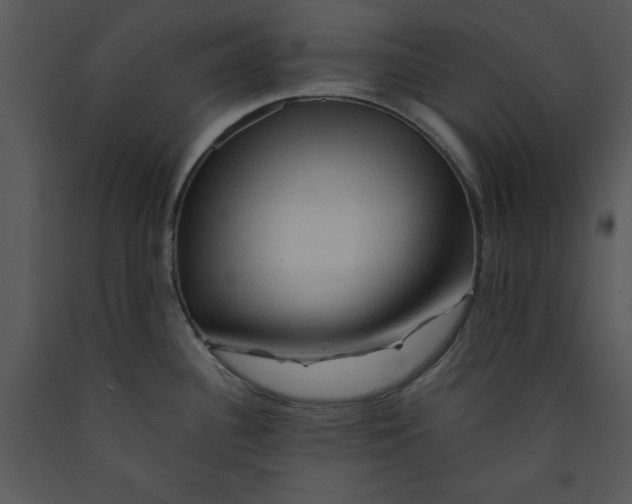 X0000089661340200707191640