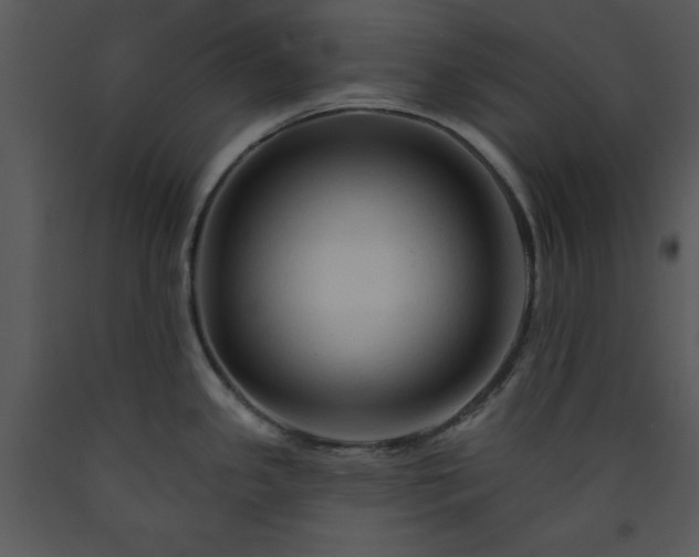 X0000089661341200707191640