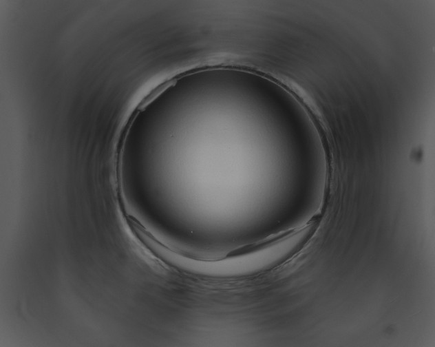 X0000089661342200707191640