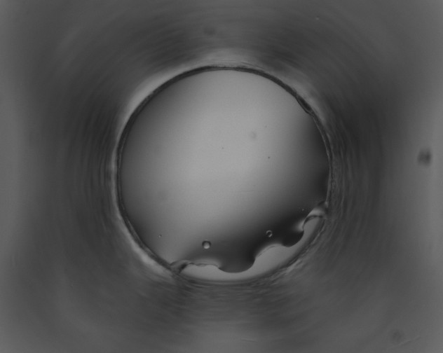 X0000089661343200707191640