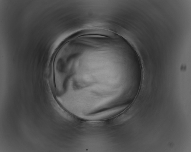 X0000089661344200707191640