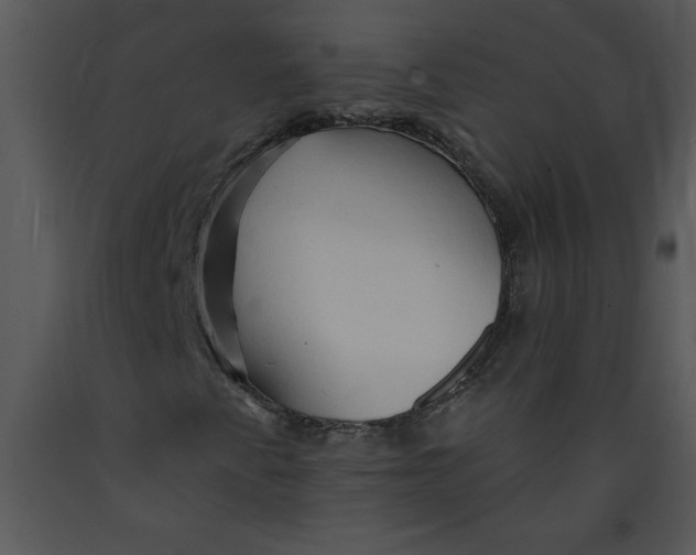 X0000089661345200707191639