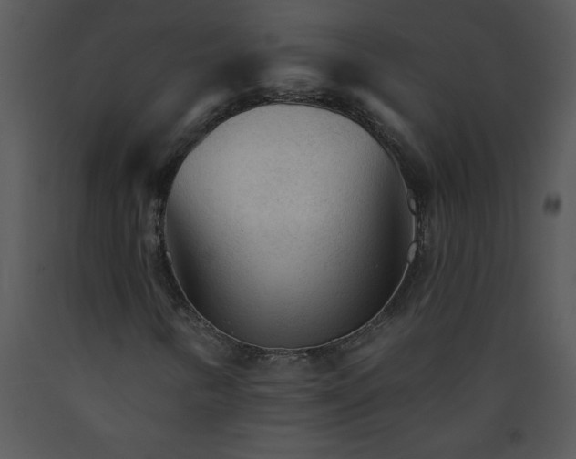 X0000089661346200707191639