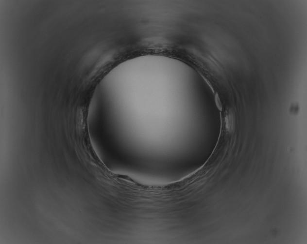 X0000089661347200707191639