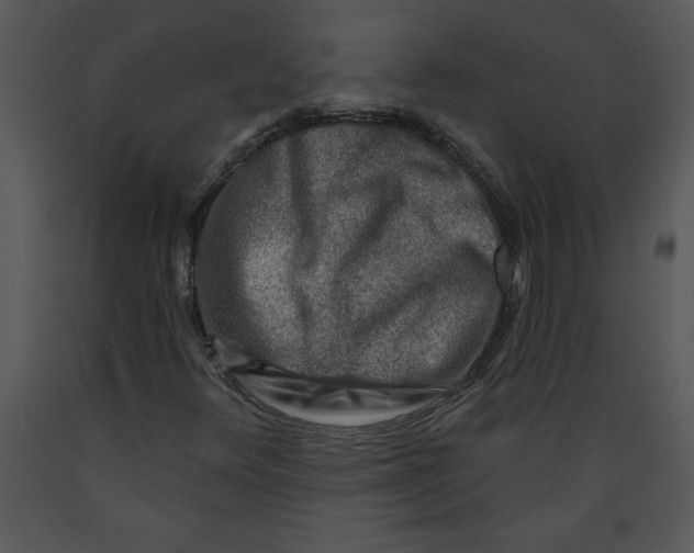 X0000089661348200707191639