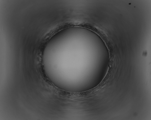X0000089661349200707191639