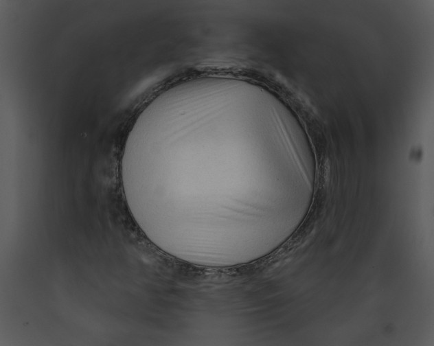 X0000089661350200707191639
