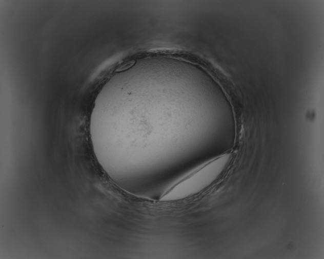 X0000089661351200707191639