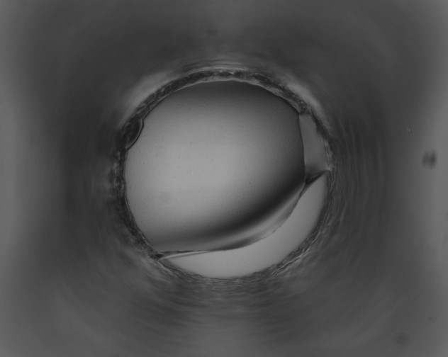 X0000089661352200707191639