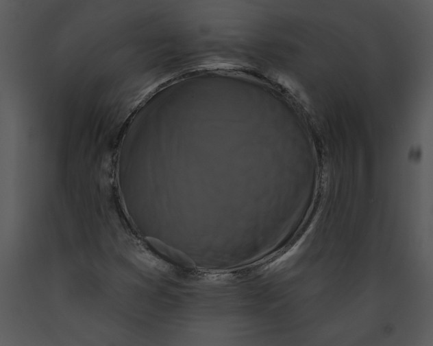 X0000089661353200707191639