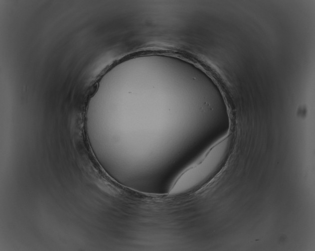 X0000089661355200707191639