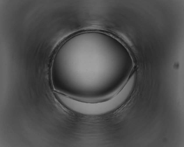 X0000089661356200707191639