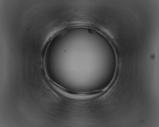 X0000089661357200707191639
