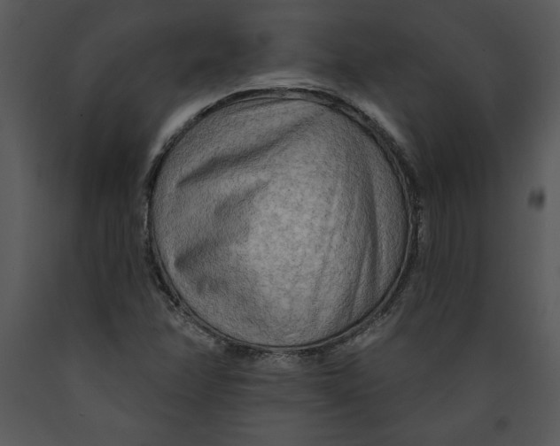 X0000089661358200707191639