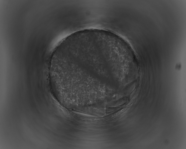 X0000089661359200707191639