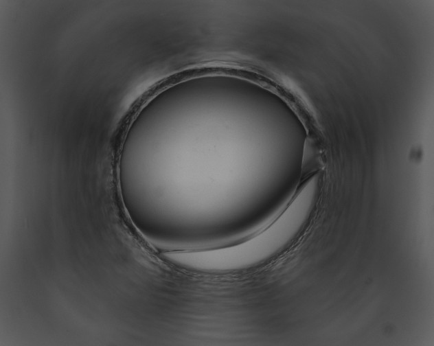 X0000089661360200707191639