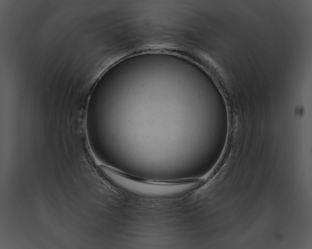 X0000089661361200707191639