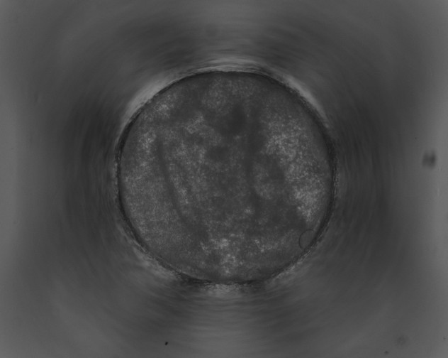 X0000089661362200707191639