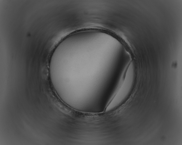 X0000089661363200707191639