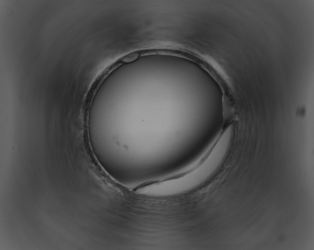 X0000089661364200707191639