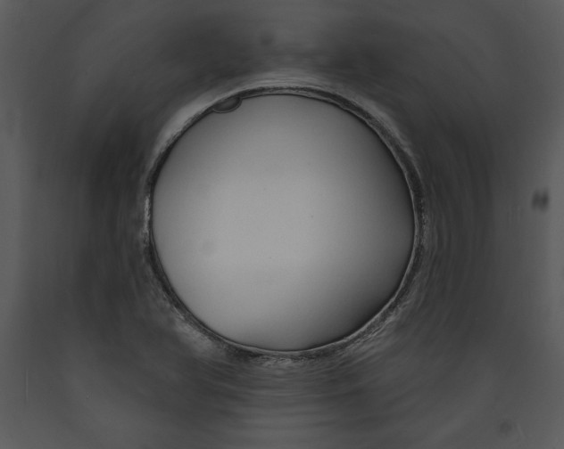 X0000089661366200707191639