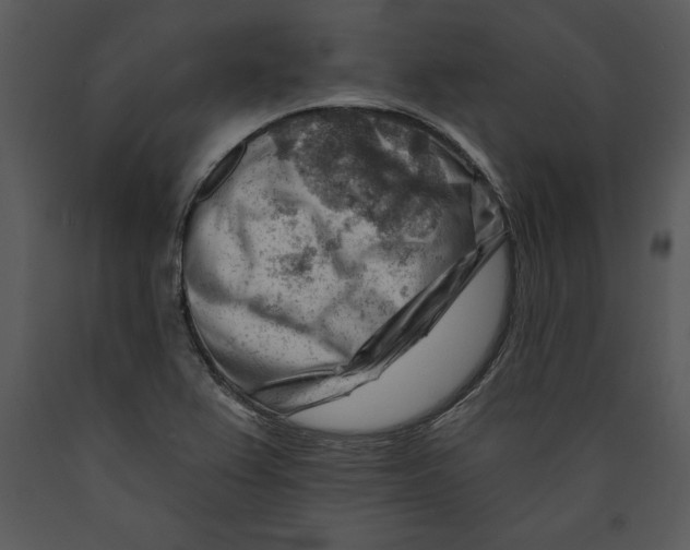 X0000089661367200707191639
