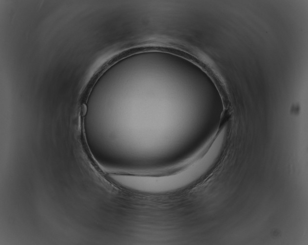 X0000089661368200707191639