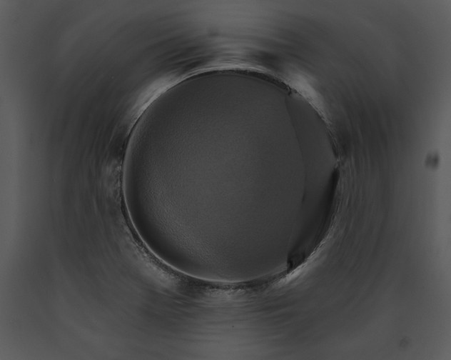 X0000089661369200707191639