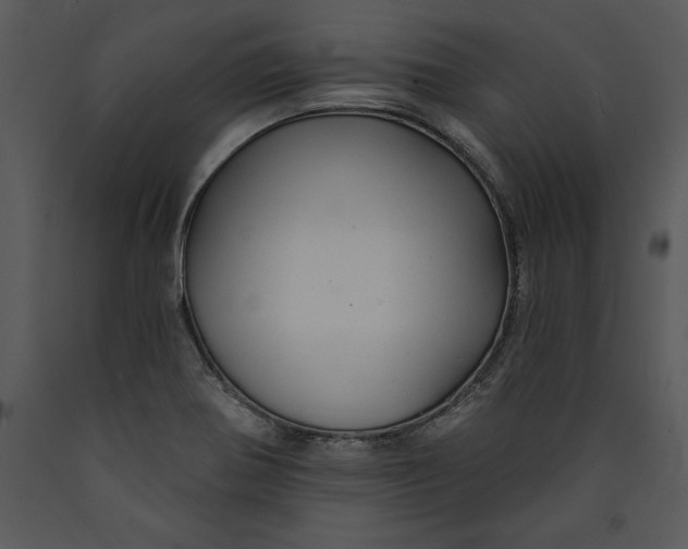 X0000089661370200707191639