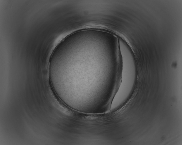 X0000089661371200707191639