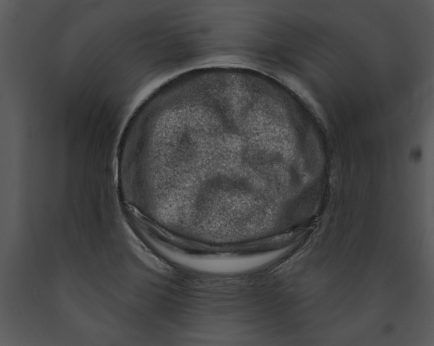 X0000089661372200707191639