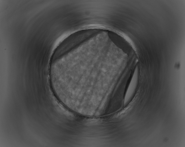 X0000089661373200707191639