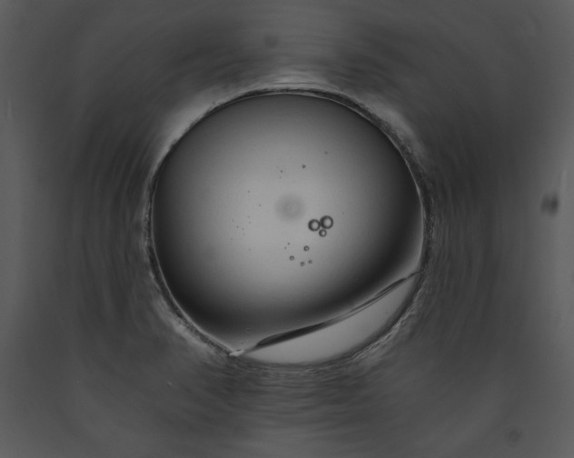 X0000089661374200707191639