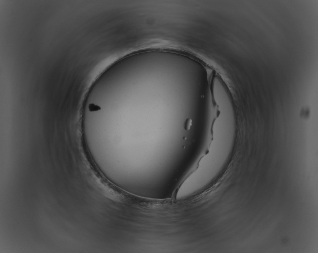 X0000089661375200707191639
