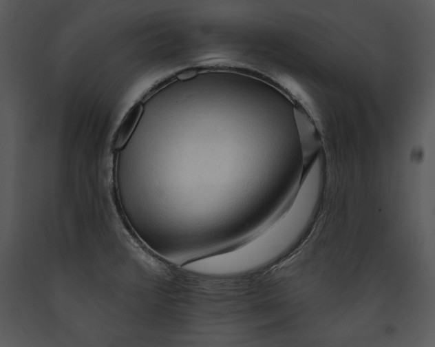 X0000089661376200707191639
