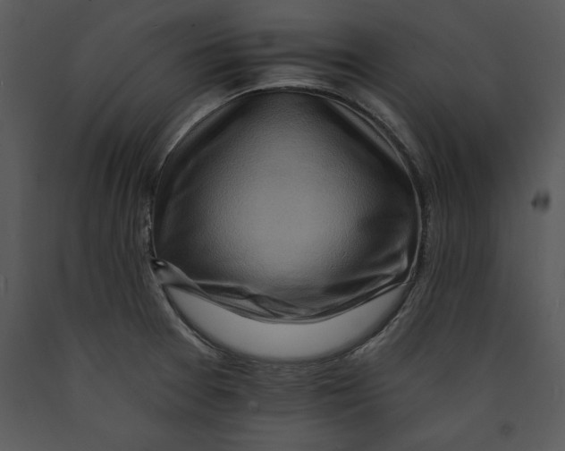 X0000089661377200707191639