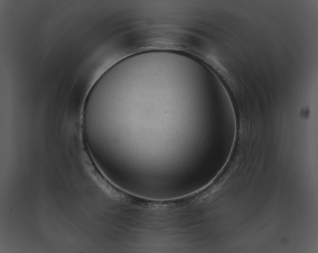 X0000089661378200707191639
