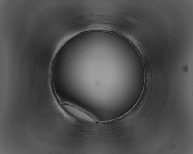 X0000089661379200707191639