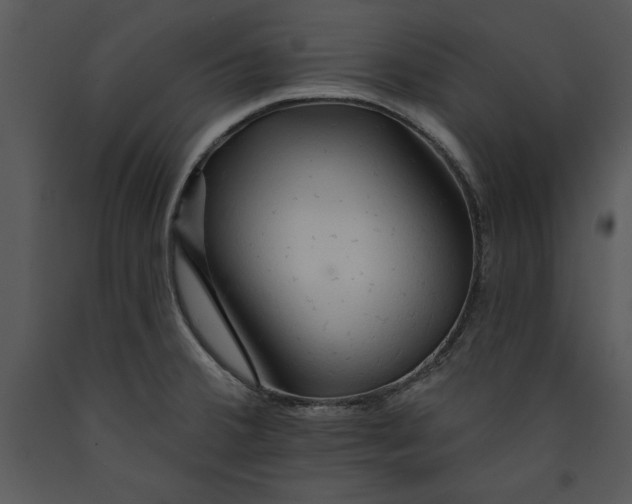 X0000089661380200707191639