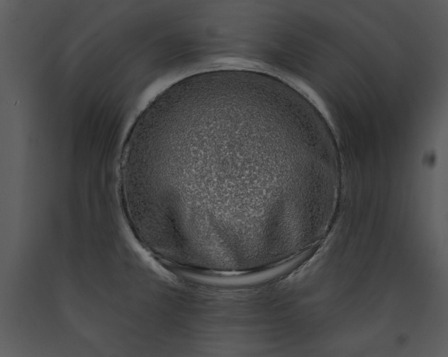 X0000089661381200707191639