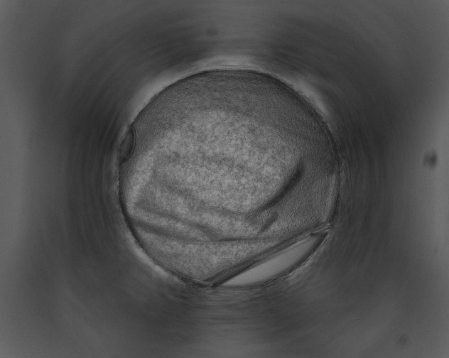 X0000089661382200707191639
