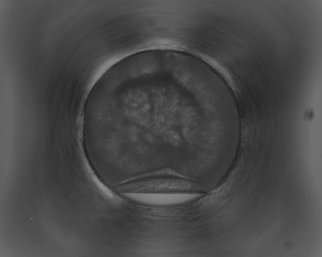X0000089661383200707191639