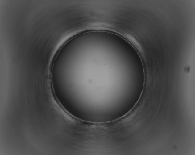 X0000089661384200707191639