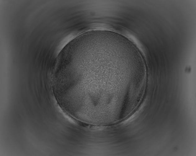 X0000089661385200707191639