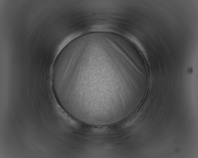 X0000089661386200707191639