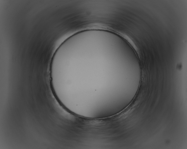 X0000089661387200707191639