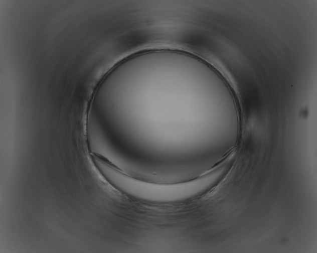 X0000089661388200707191639