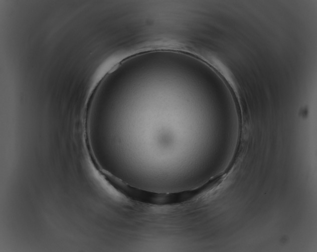 X0000089661389200707191639