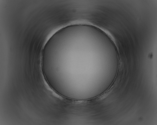 X0000089661390200707191639